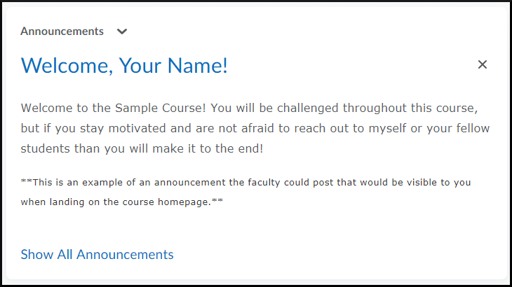 Announcements example: Welcome, Your Name! heading Welcome to the Sample Course! You will be challenged throughout this course, but if you stay motivated and are not afraid to reach out to myself or your fellow students than you will make it to the end!